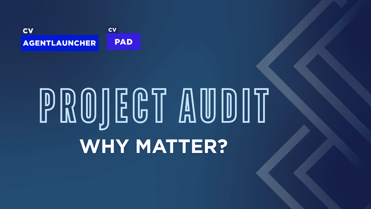 audit